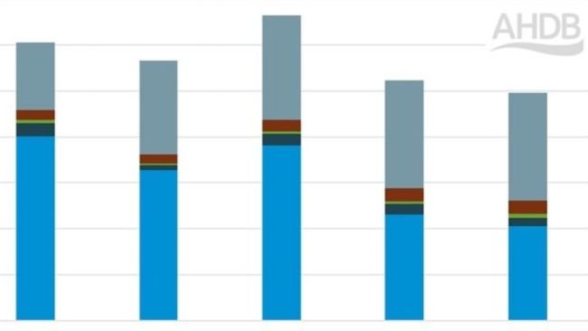 Exportaciones de carne de cerdo del primer trimestre del Reino Unido por producto. Fuente: AHDB de HMRC compilado por Trade Data Monitor.