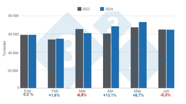 Gráfico 1. Producción mensual de carne de cerdo para el período enero – junio, variaciones anuales. Elaborado por el Departamento de Economía e Inteligencia de Mercados de 333 Latinoamérica con datos de la Secretaría de Agricultura, Ganadería y Pesca del Ministerio de Economía de Argentina.
