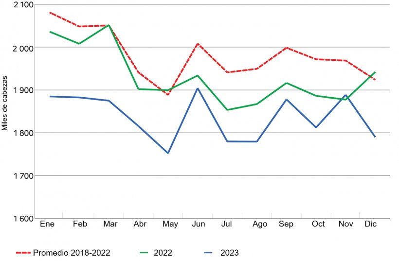 French pork production declines throughout 2023. Fuentes: Agreste (sacrificios), DGDDI (importaciones y exportaciones de animales vivos).
