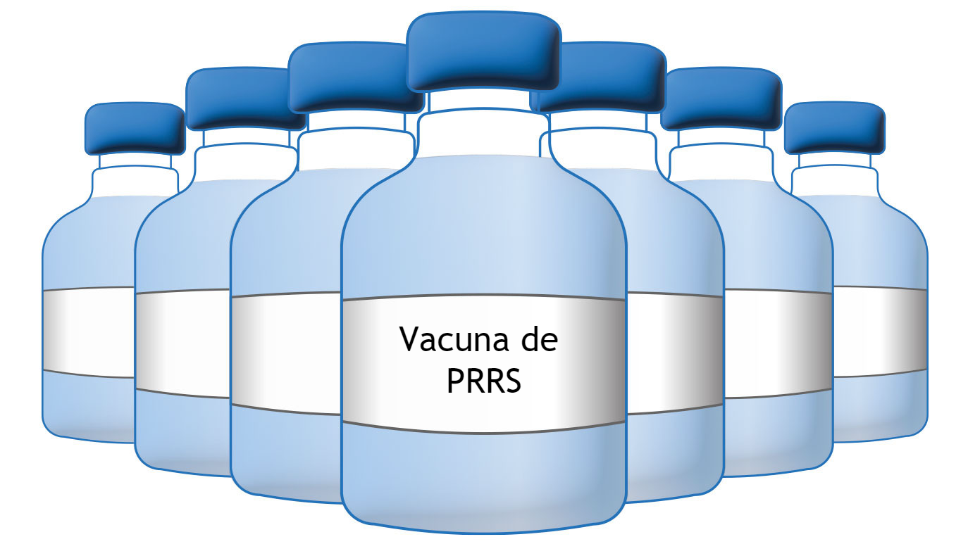 Vaccines against the PRRS virus – Articles