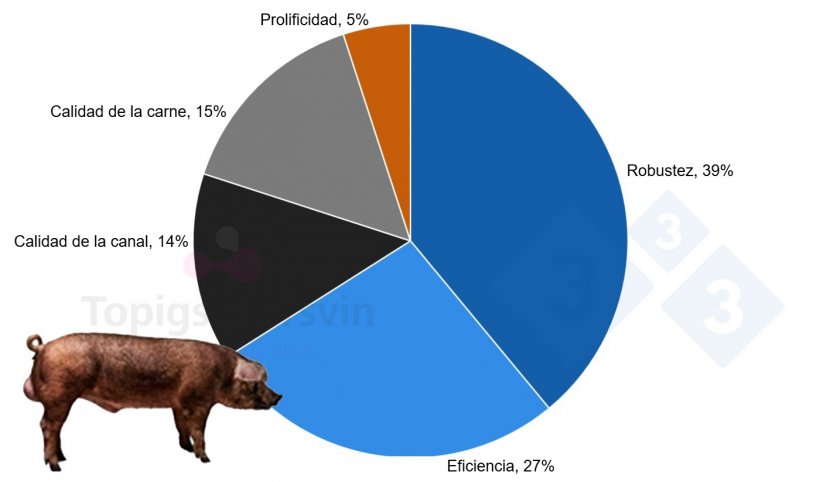 Figura 4. Objetivo de selecci&oacute;n TN Duroc.
