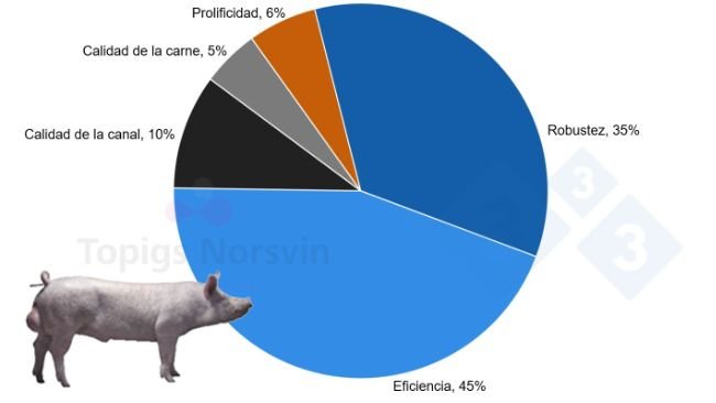 Figura 3. Objetivo de selección TN Tempo.