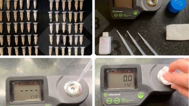 Foto 1. Uso de refract&oacute;metros digitales para la medici&oacute;n indirecta de la concentraci&oacute;n de inmunoglobulinas.
