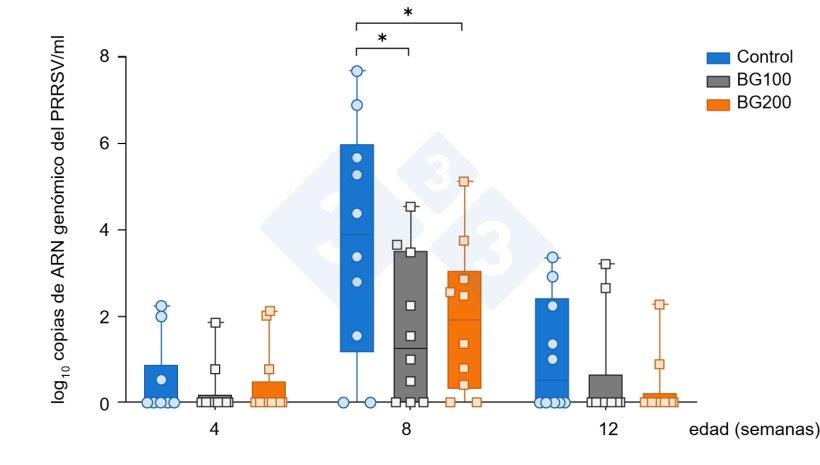 Figura 6. Reducción temprana de la viremia de PRRS MLV mediante la suplementación con betaglucanos (Chuaychu et al., 2024). Se seleccionaron aleatoriamente sueros de cerdos experimentales de cada grupo (n=10) y y se sometieron a extracción de ARN genómico viral. El ARN genómico del PRRSV se cuantificó mediante qRT-PCR. Los datos representan la media (±DE) del ARN genómico del PRRSV. El asterisco (*) indica diferencias significativas (p<0,05) entre los grupos.