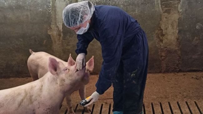 La vigilancia de la concentración de gases deberá realizarse al menos una vez por estación y en al menos tres corrales.