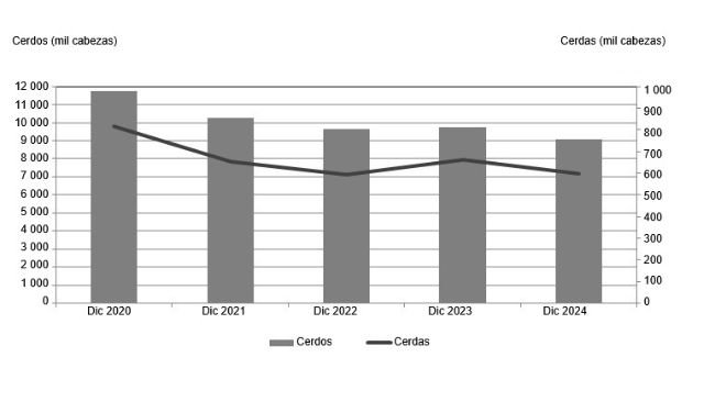Inventarios de cerdos y cerdas en Polonia desde finales de 2020 hasta finales de 2024. Fuente: Oficina Central de Estadística, Polonia.