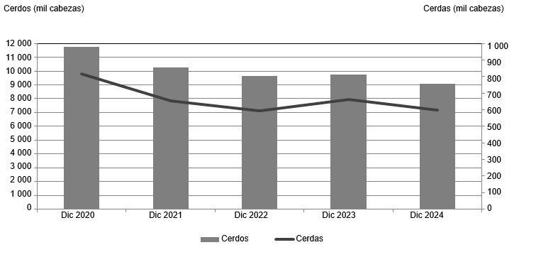 Inventarios de cerdos y cerdas en Polonia desde finales de 2020 hasta finales de 2024. Fuente: Oficina Central de Estad&iacute;stica, Polonia.
