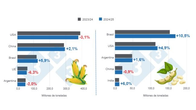 Gráfico 1: Proyección de cosecha para los principales productores mundiales de maíz y soya - campaña 2024/25 versus ciclo 2023/24 – última actualización: 11 de marzo de 2025.
Elaborado por el Departamento de Economía y Sostenibilidad de 333 Latinoamérica con datos de FAS – USDA
