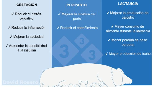 Figura 1. Efectos de la fibra como intervenci&oacute;n nutricional en dietas de cerdas.
