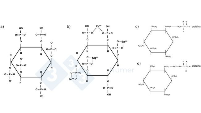 Figura 1. Estructura del ácido fítico a pH neutro (a); estructura del ácido fítico quelado a pH neutro con cationes (b); estructura del ácido fítico quelado con proteínas a pH ácido (c) y neutro (d). Adaptado de Humer et al. (2014).