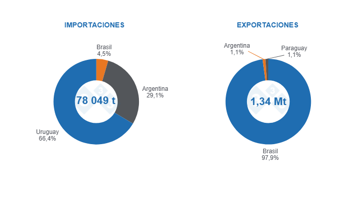 Gráfico 3: Comercio internacional de carne de cerdo en MERCOSUR para 2024 y participación de los países miembros.
Fuente: 333 a partir de datos de Comexstat, SAGyP, OPYPA y ACCP