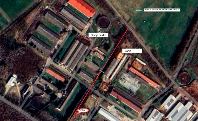 Granja porcina contacto donde se han sacrificado de forma preventiva 9888 cerdos.
