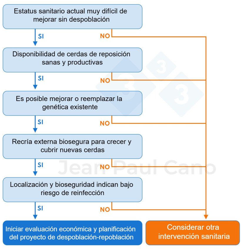 Figura 1. &Aacute;rbol de decisi&oacute;n para evaluar la viabilidad de realizar una despoblaci&oacute;n-repoblaci&oacute;n. &iquest;Es la despoblaci&oacute;n-repoblaci&oacute;n de inter&eacute;s para mi granja?