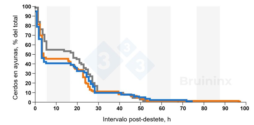Figura 1. Porcentaje de cerdos destetados que no hab&iacute;an comido despu&eacute;s del destete. Las curvas corresponden a cerdos destetados de peso ligero&nbsp;(l&iacute;nea azul), mediano&nbsp;(l&iacute;nea naranja) y pesado&nbsp;(l&iacute;nea gris). Los periodos oscuros se indican con barras sombreadas. Fuente: Bruininx et al., 2001

