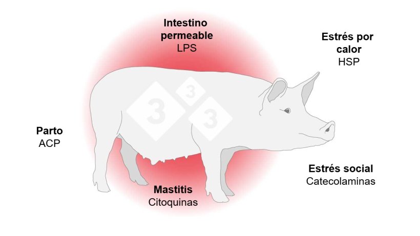 Mecanismos de la inflamaci&oacute;n
