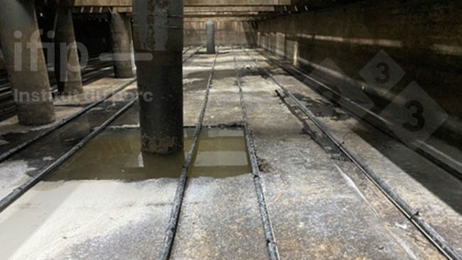 Lisiotermia en fondo de fosa en condiciones experimentales. Fuente: IFIP.
