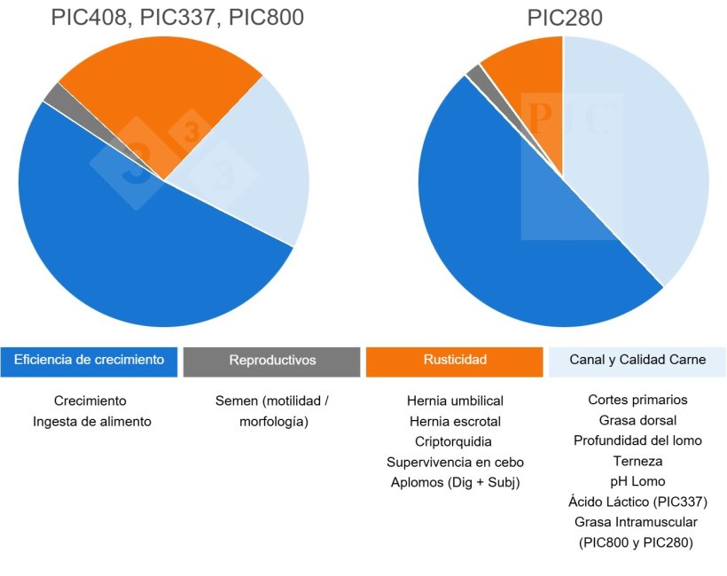 Objetivos de Selecci&oacute;n en las L&iacute;neas Terminales PIC
