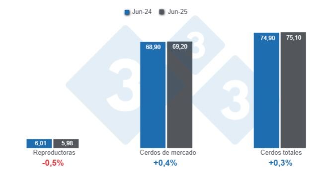 Gráfico 1: Inventario de porcinos en Estados Unidos con corte al 1 de junio de 2025, cifras en millones de cabezas, variaciones anuales.
Elaborado por el Departamento de Economía y Sostenibilidad de 333 Latinoamérica con datos de USDA - NASS