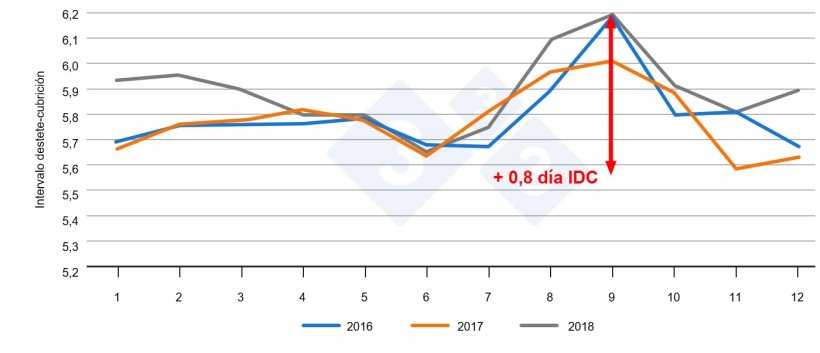Figura 1. Intervalo destete-cubrici&oacute;n en funci&oacute;n del mes del a&ntilde;o. Fuente: PigChamp Pro Europa
