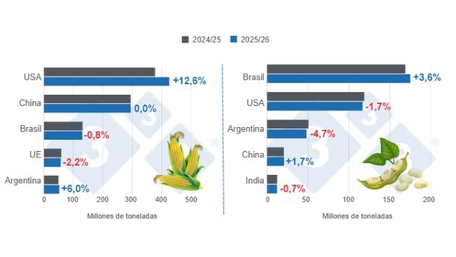 Gráfico 1: Proyección de cosecha para los principales productores mundiales de maíz y soya - campaña 2025/26 versus ciclo 2024/25 - última actualización: 12 de agosto de 2025.
Elaborado por el Departamento de Economía y Sostenibilidad de 333 Latinoamérica con datos de FAS - USDA