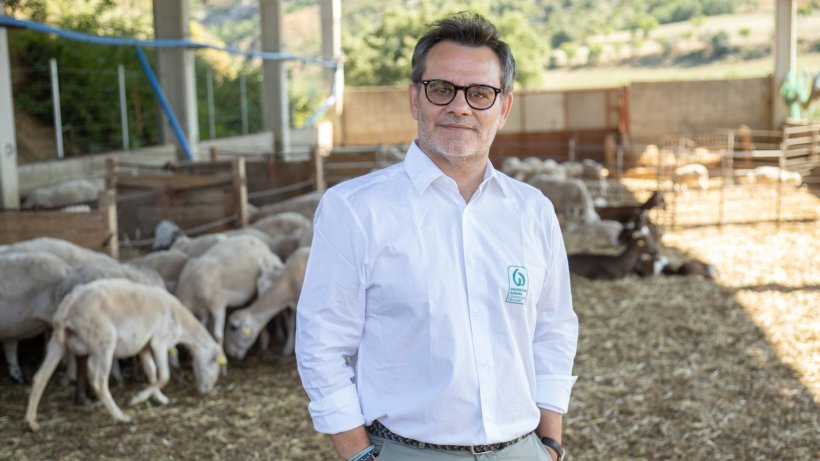 Carles Rosell, CEO de Welfair&reg;
