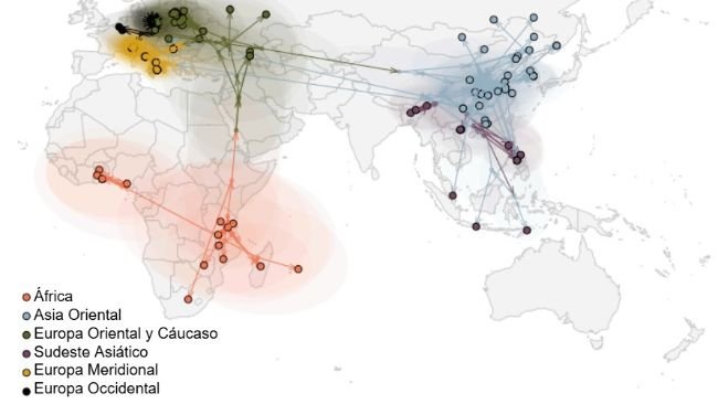 Figura 2. Propagación global del virus de la PPA (Rossi et al. bioRxiv 2025).