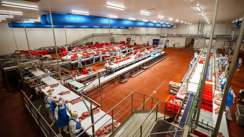 Sala de despiece de Lumbier
