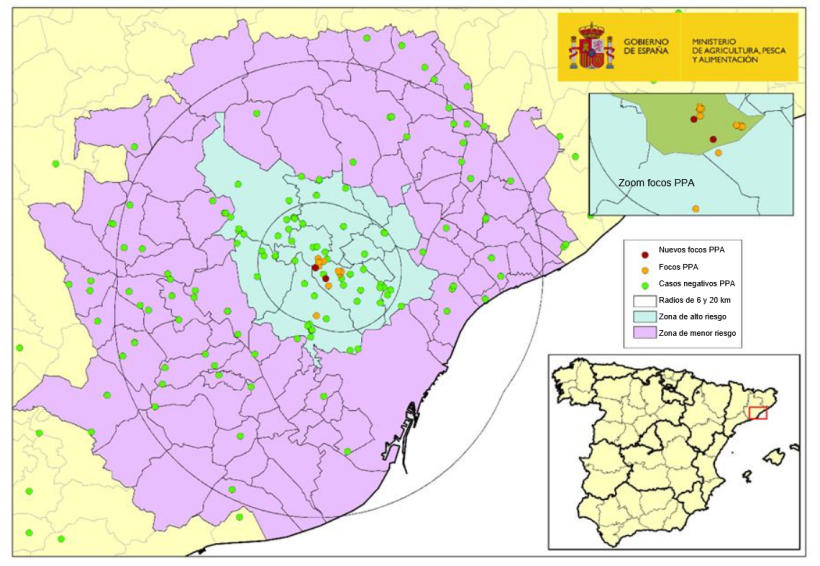 Localizaci&oacute;n de los 13 focos en jabal&iacute;es silvestres y de los jabal&iacute;es capturados o hallados muertos negativos detectados en Catalu&ntilde;a (Fuente: MAPA)