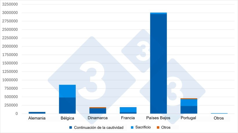 Gr&aacute;fico 2. Proveedores de cerdos vivos a Espa&ntilde;a por categor&iacute;a animal (2025). Fuente: 333 a partir de datos del MAPA.
