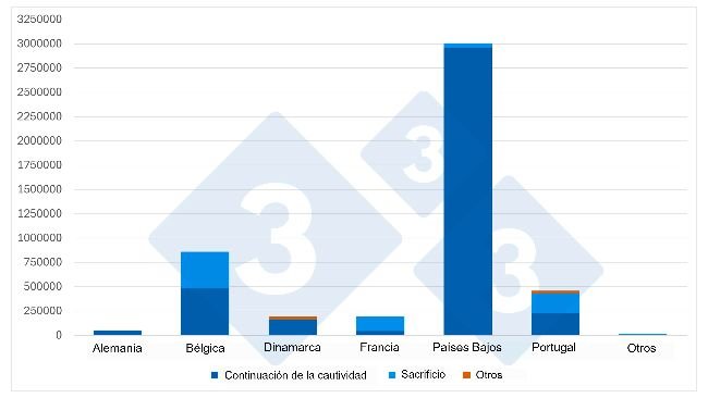 Gráfico 2. Proveedores de cerdos vivos a España por categoría animal (2025). Fuente: 333 a partir de datos del MAPA.