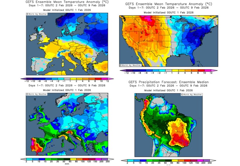 Previsi&oacute;n del clima en el hemisferio sur y en Europa (fuente: Grads/Cola)