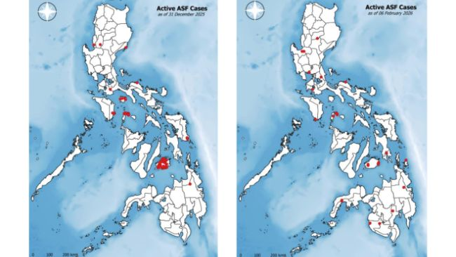 Active African swine fever cases in the Philippines as of February 6, 2026 (left) compared to December 31, 2025 (right). Source: BAI.
