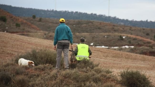 Fuente: Departamento de Agricultura, Ganadería y Alimentación del Gobierno de Aragón.