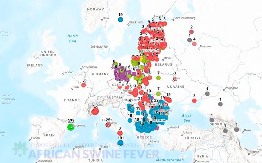 Distribuci&oacute;n geogr&aacute;fica de los subgrupos gen&eacute;ticos del VPPA del genotipo II en Europa, destacando el grupo gen&eacute;tico 29 detectado en Espa&ntilde;a (Fuente: EURL-ASF). 