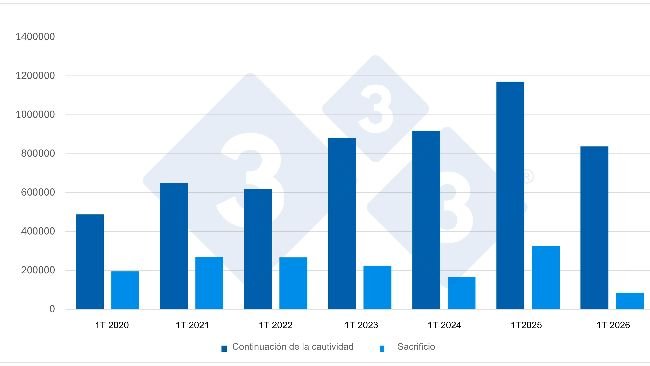 Gráfico 1. Evolución de las importaciones españolas durante el 1T de porcinos destinados a continuación de la cautividad y a sacrificio. Fuente: 333 a partir de datos del MAPA.