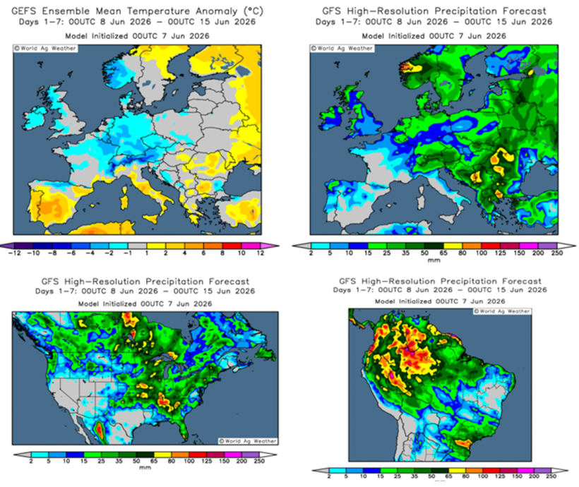 Previsión del clima en el hemisferio sur y en Europa (fuente: Grads/Cola)