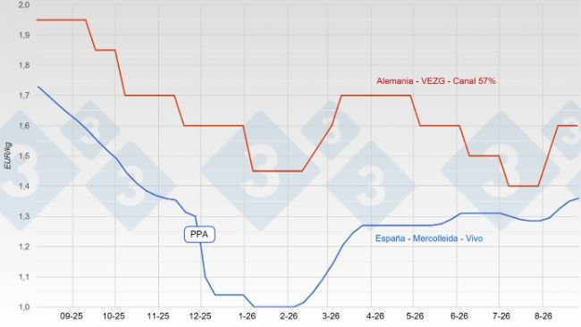 Evolución del precio del cerdo en España y Alemania en agosto de 2026