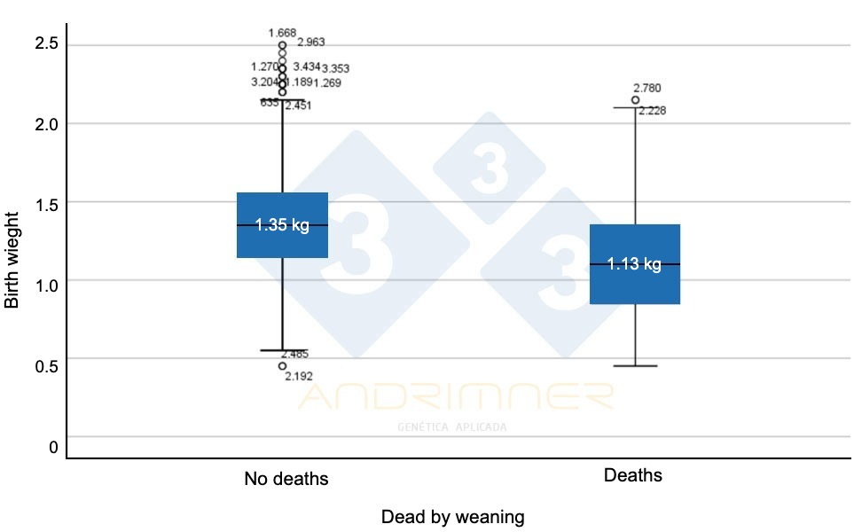 <p>Graph&nbsp;4. Average birth weight of surviving piglets (&ldquo;no deaths&rdquo;) and average birth weight of deaths. Highly significant differences between the two groups ( F=155.713; p&lt;0.001) Source:&nbsp;Javier Lorente. Commercial farm, 3483 piglets weighed individually&nbsp;2021.</p>
