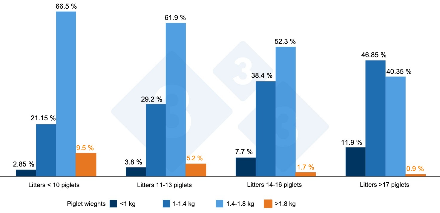 <p>Graph 2. Birth weights by prolificacy. Source: ThinkinPig 2015</p>
