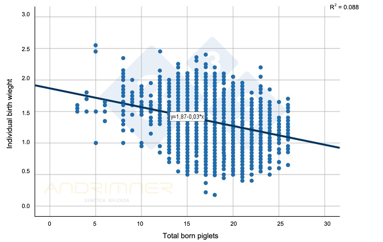 <p>Graph 1. Regression curve of total born and individual birth weight. Source: Javier Lorente. Commercial farm, 3483 piglets weighed individually 2021.</p>
