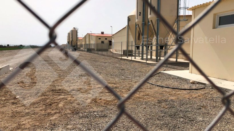 Photo 1. The photo shows the perimeter fence on the left, and the biosecurity fence on the right, which delimits the buildings and feed bins. The road between the two fences is a dirty area, but is exclusively for feed unloading.&nbsp;&nbsp;Photo courtesy of Esther Salvatella.
