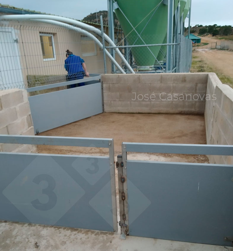 <p>Figure 2. Area between gates with capacity to place all piglets that fit in the truck lift at the same time. This area is after the biosecurity fence and is therefore a dirty area. Photo courtesy of Jos&eacute; Casanovas.</p>
