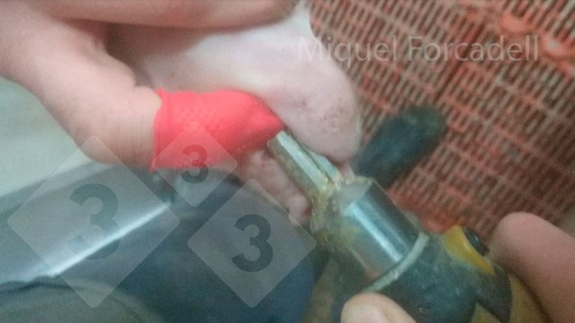 With the thimble on, there is no danger to our fingers during tooth grinding.
