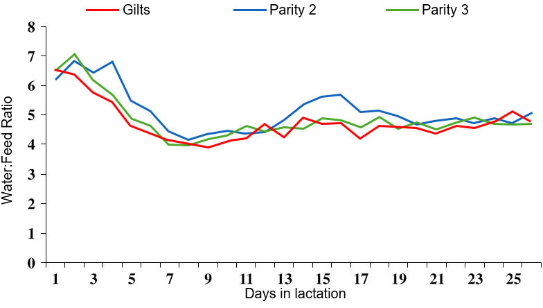 Figure 4. Water:feed ratio during lactation. Source: S. Kruse, 2011
