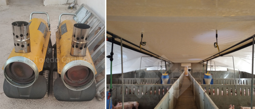 Photo 5 and 6: Placement of greenhouse type of cover and air heaters.