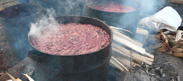 Cuisson de déchets avant de nourrir les porcs dans un élevage semi-commercial à Kiambu, Kenya