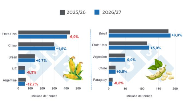 Graphique 1. Prévisions de récolte des principaux producteurs mondiaux de maïs et de soja – Campagne 2026/2027 comparée à la campagne 2025/2026 (dernière mise à jour : 10 juillet 2026).
Élaboré par le Département Économie et Durabilité de 333 Latinoamérica à partir des données du FAS-USDA.