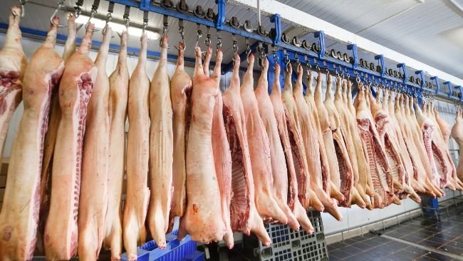 экспорт свинины