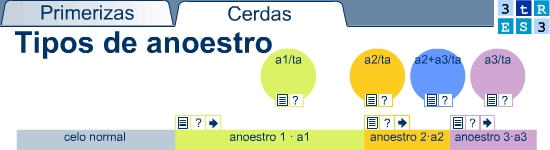 Anoestro en cerdas y primerizas