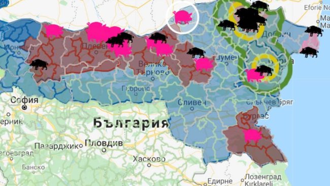 El foco, con 17.000 animales susceptibles, se encuentra cerca de la frontera con Rumanía.